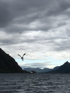 Lofoten