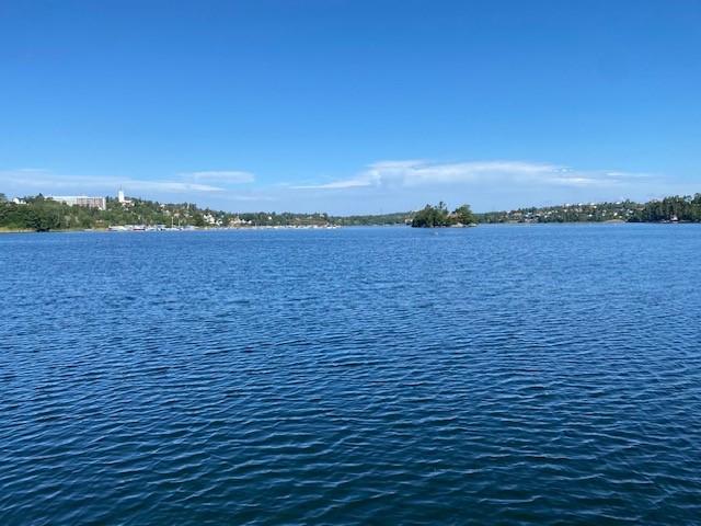 Edsviken